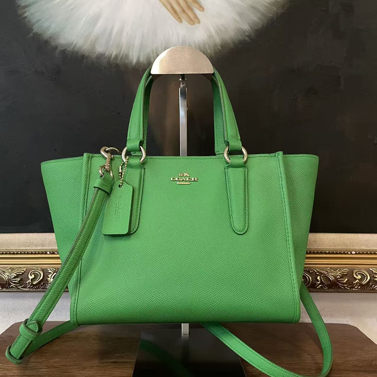 95新 COACH/蔻驰 coach单肩包/007299/尺寸22*17