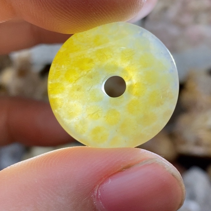 硅化珊瑚（珊瑚玉）未镶嵌颈饰小