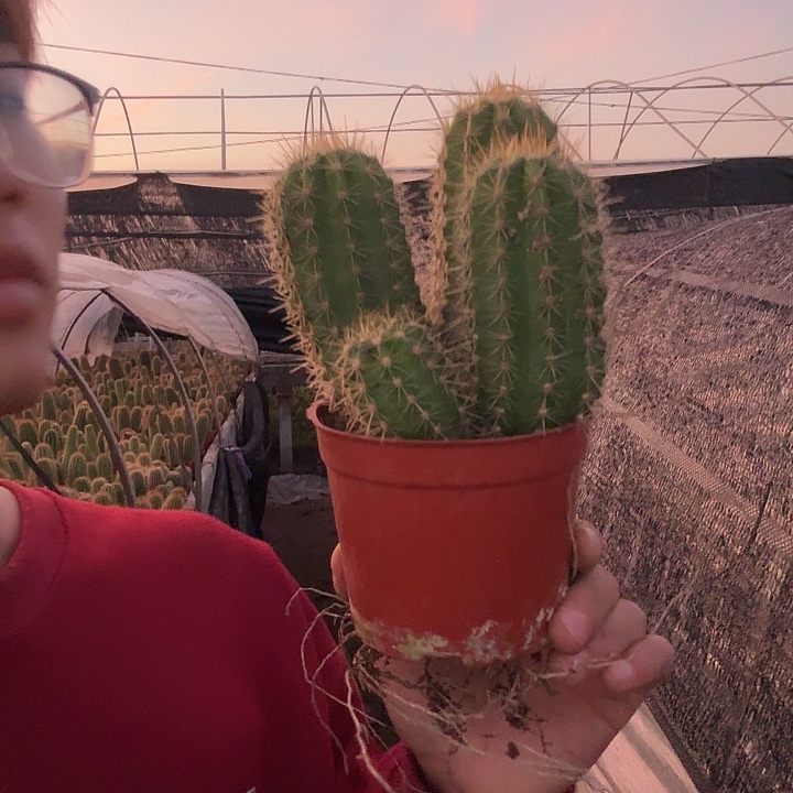 吾****无花朵牛牛哈哈哈哈哈哈