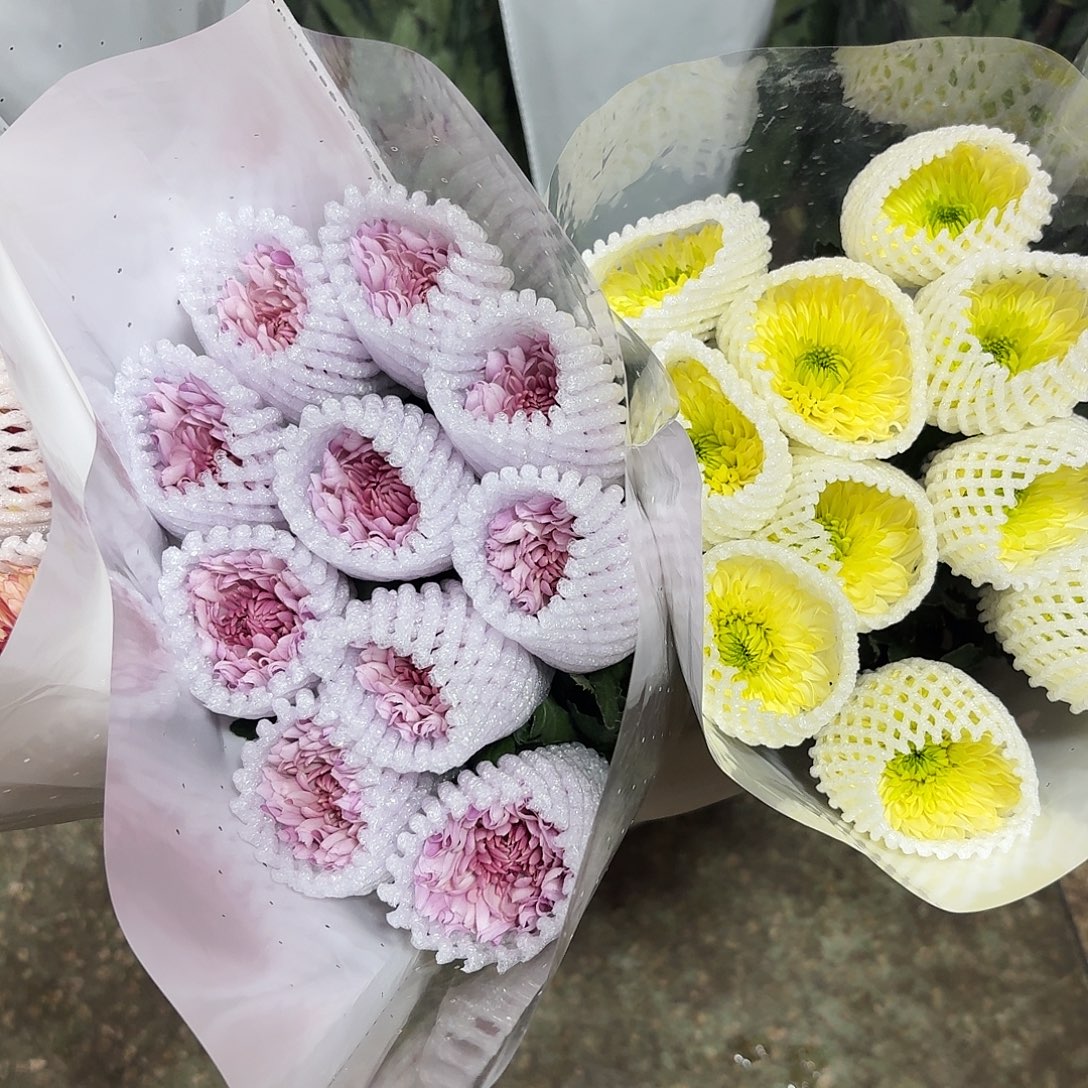 单头布鲁诺绿+梦幻粉各5支