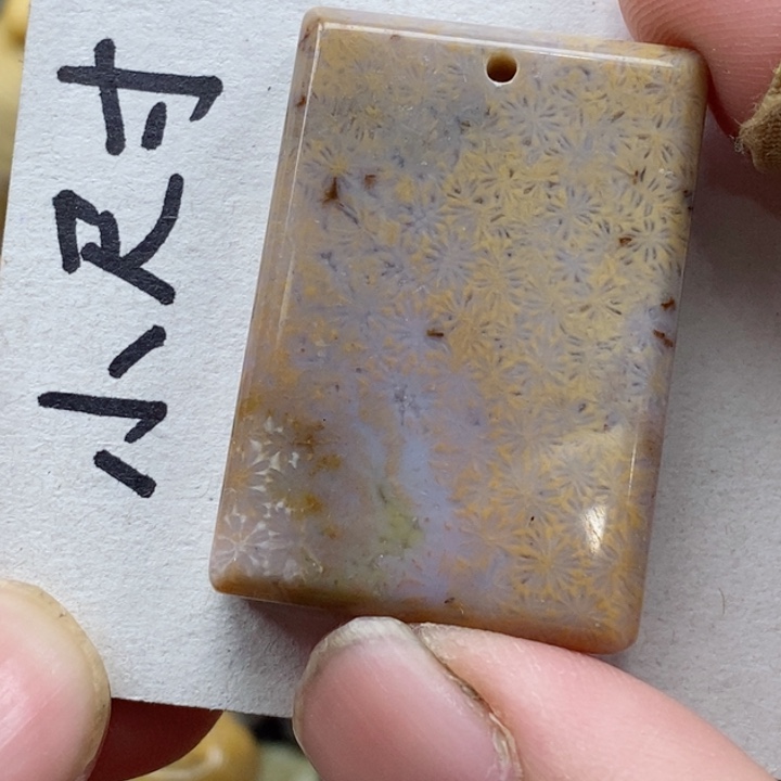 颈饰未镶嵌硅化珊瑚（珊瑚玉）就****爽