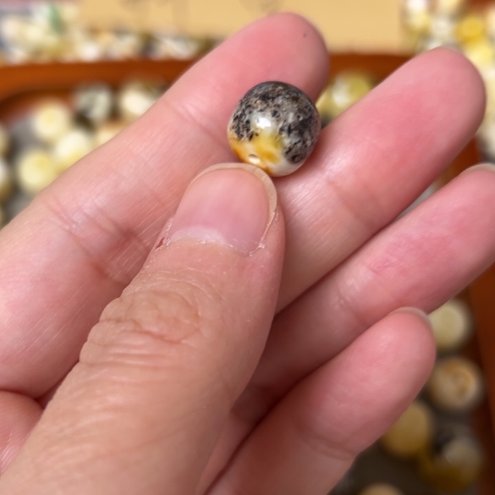 蜜蜡未镶嵌裸石11.1mm一个