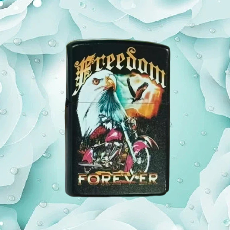 彩绘老鹰防风打火机送男士无油B