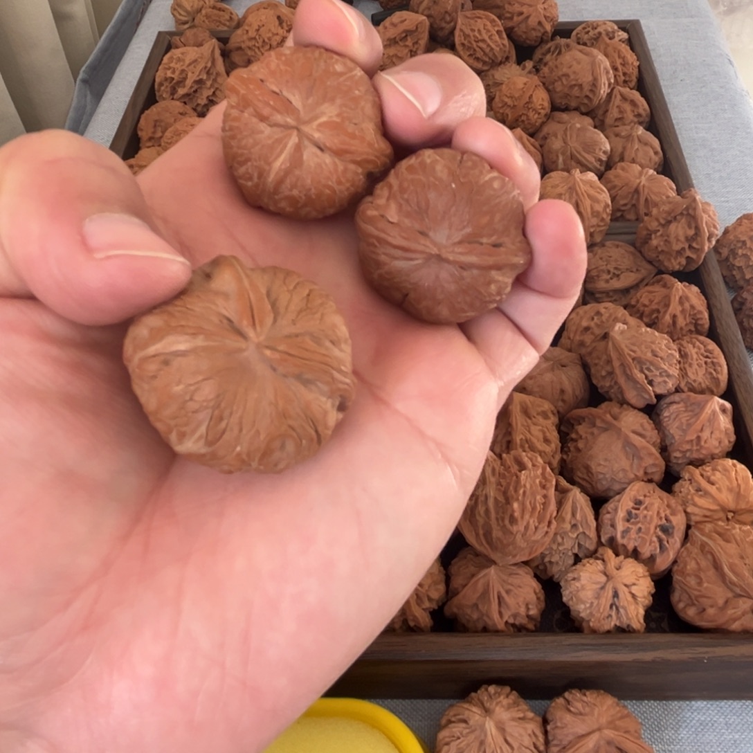 紫***呈核桃核桃核桃核桃