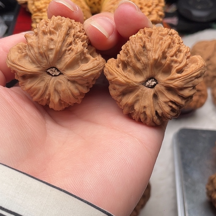 龟背凹底有色差 有一片黄