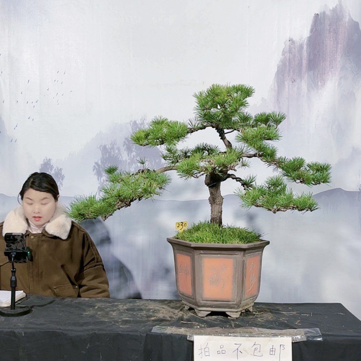 【闪购商品】运费到付