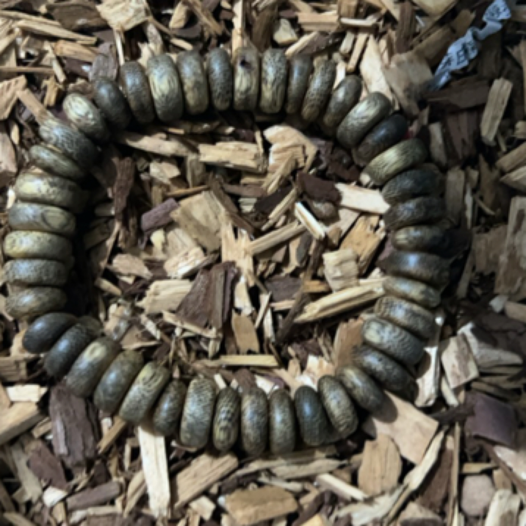 沉香z266 福莱精选高端文玩12mm