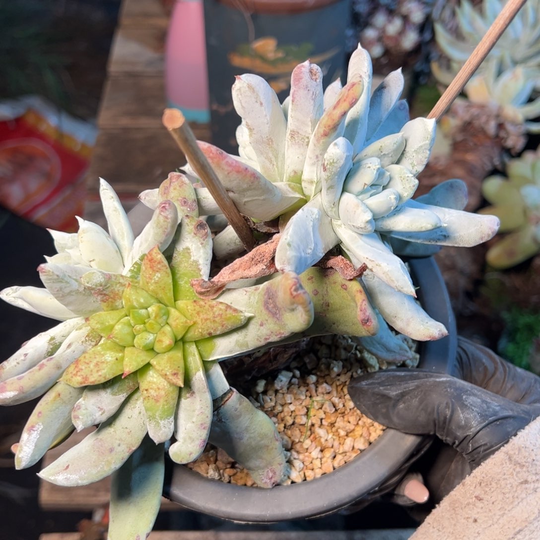 8478哈哈哈哈哈哈哈哈