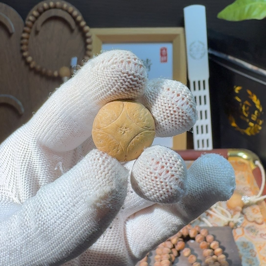 木质类麒麟眼凤眼菩提