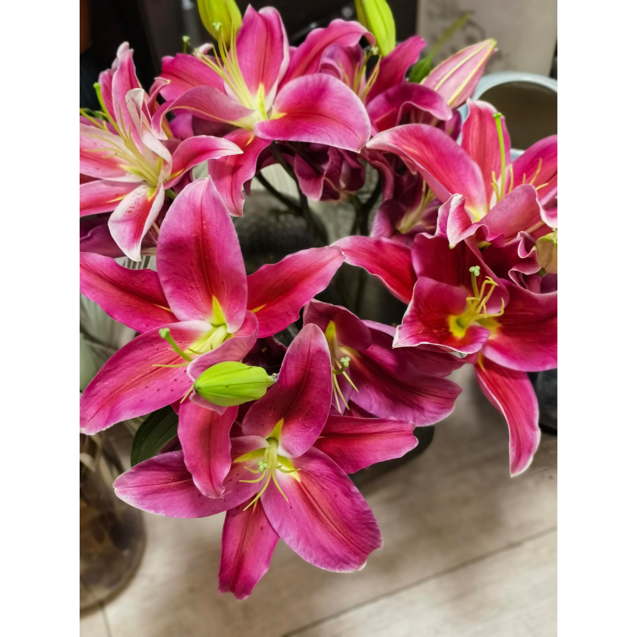 爱情小镇香水百合有香味单瓣宽瓣百合鲜花