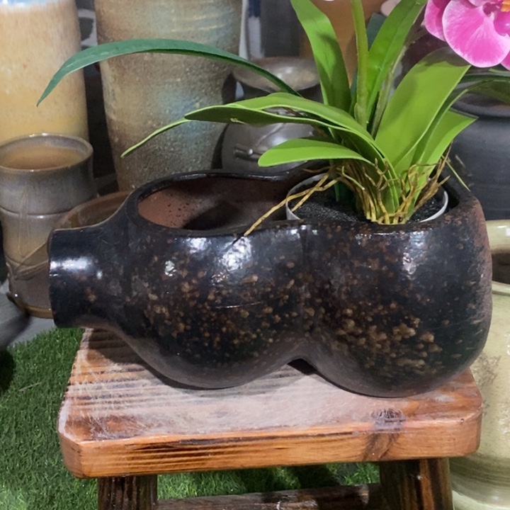 红陶高11/25 开播福利