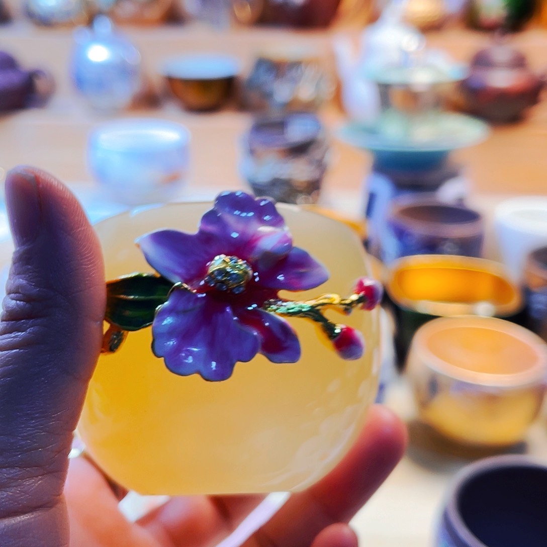 杯主人你主人杯主人杯