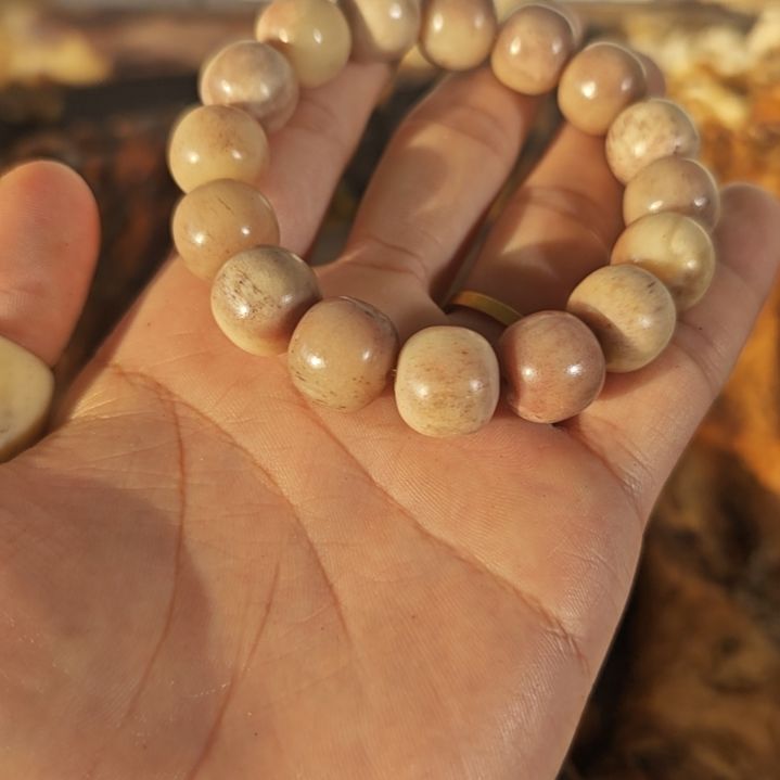 立***业LJ14紫血手串手串手串手串手串