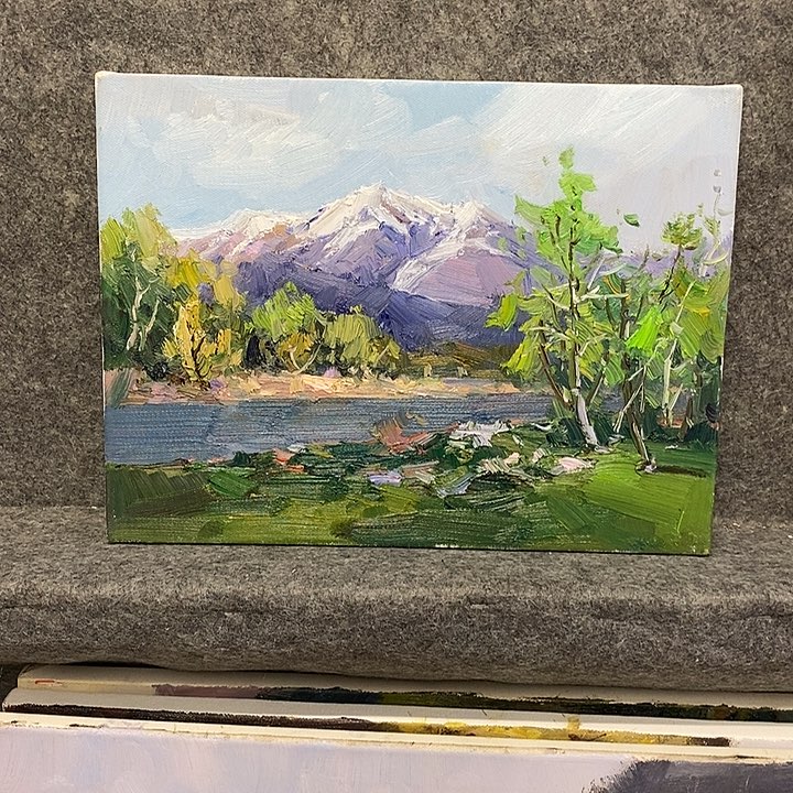 夏***木油画画芯尺寸40x30cm