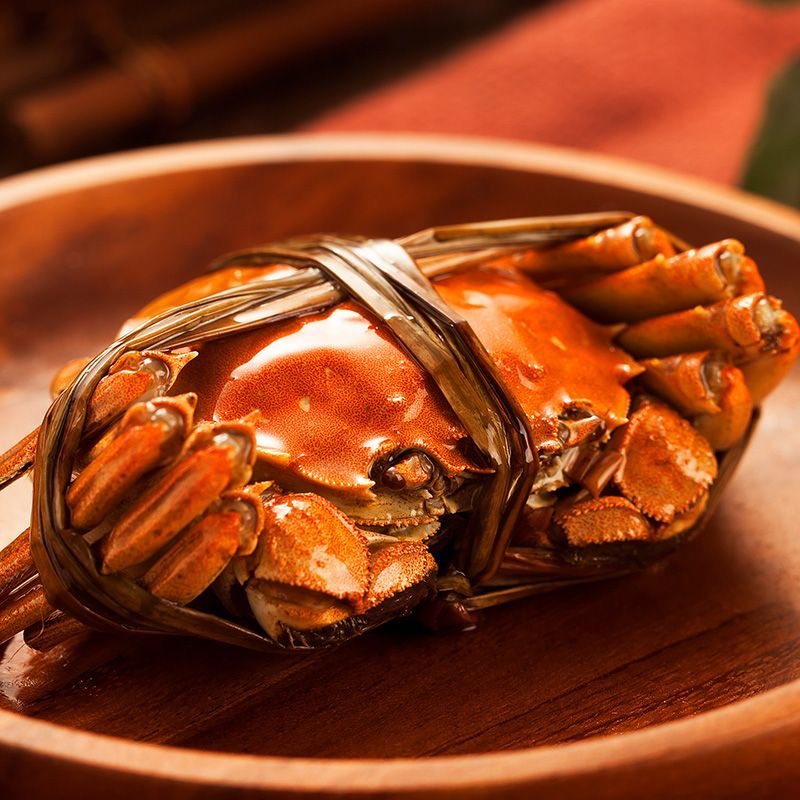 【活蟹现发】江苏精品大闸蟹全母蟹2两 现货礼盒装10只