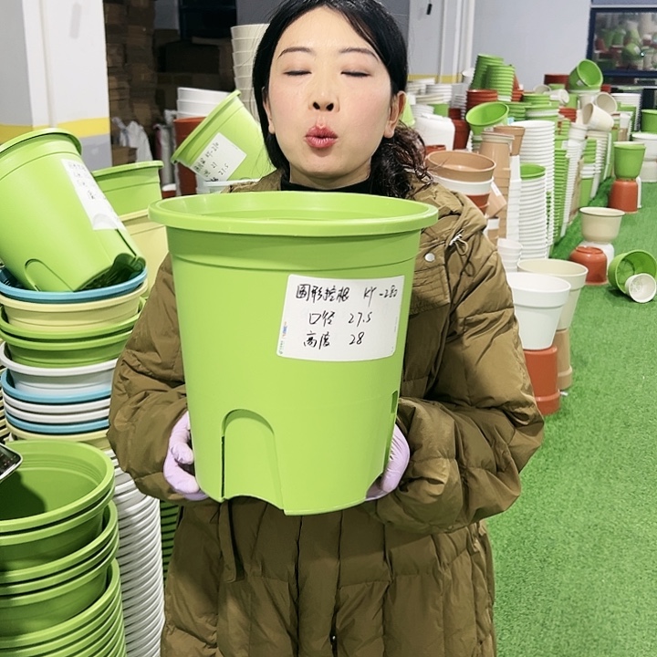 正品圆控口27.5高28果绿5只无托