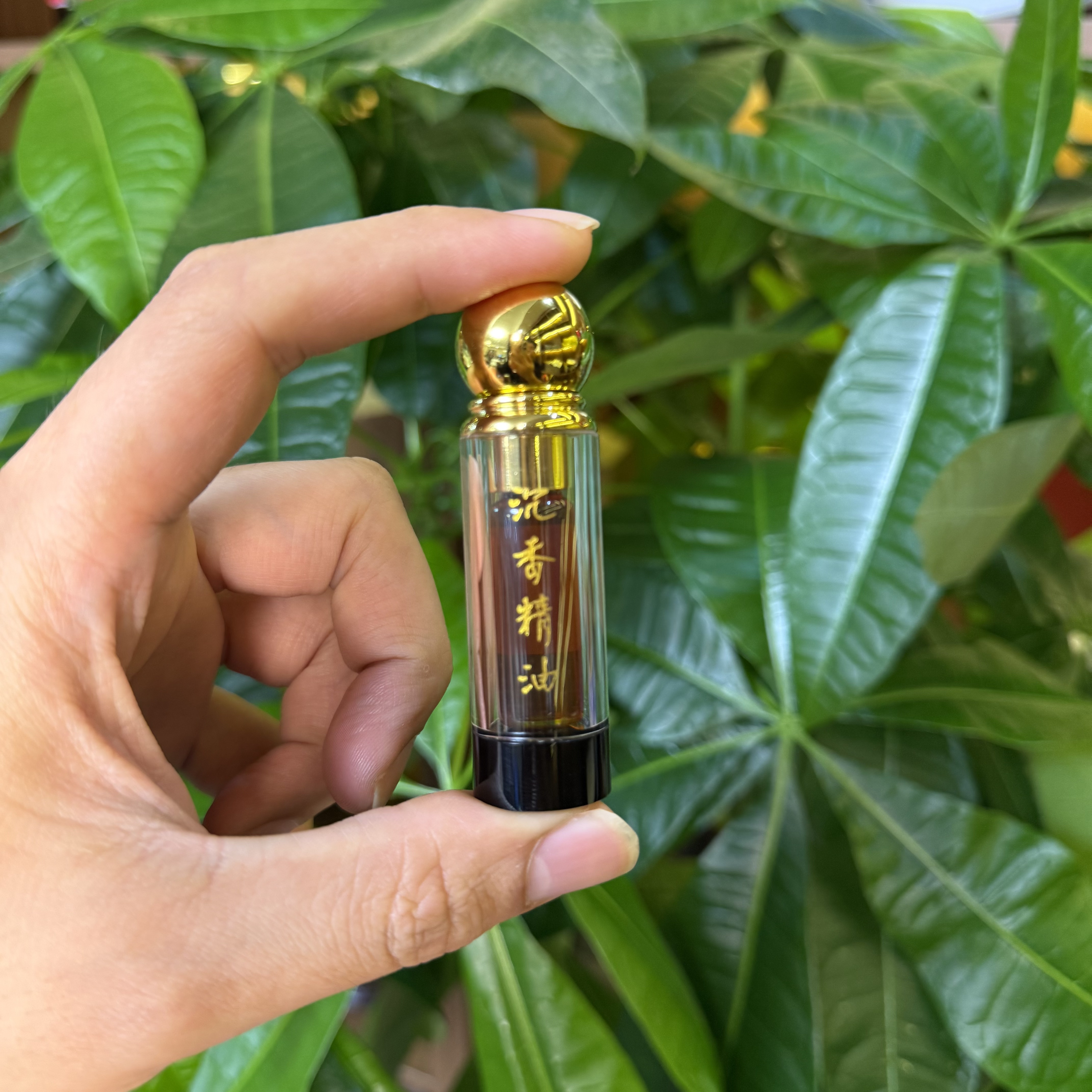 【林氏沉香】古法十年醇化（海南）尖峰岭红油格5克