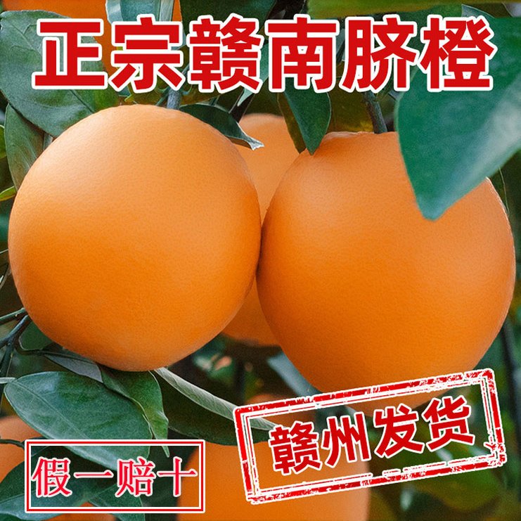 正宗江西赣南脐橙新鲜现摘现发应季孕妇水果超甜信丰农家橙橙子