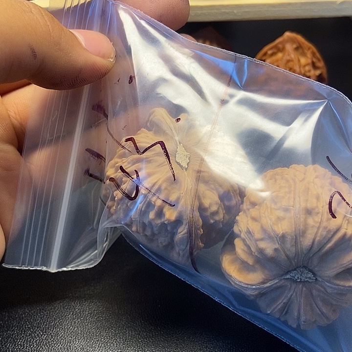 寒***冰核桃二十六号文玩