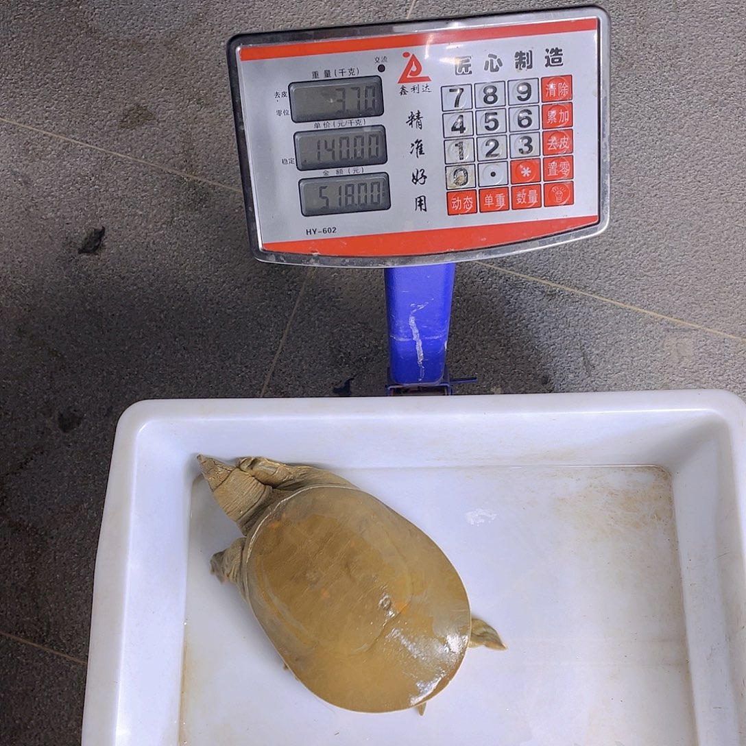 中国大陆46637358376367