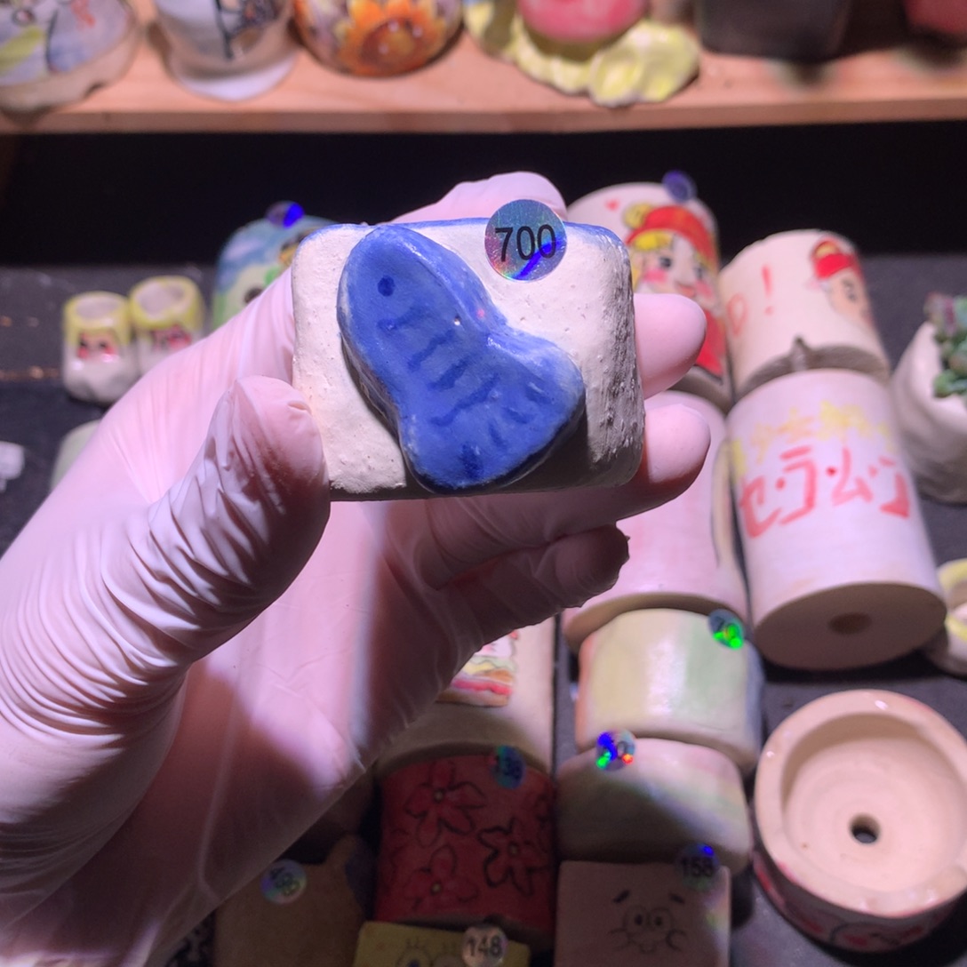 小鱼花盆哈哈哈哈哈哈