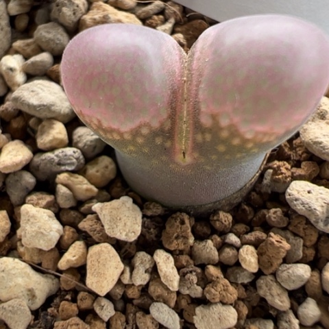 101 冲冲冲冲冲冲冲冲冲冲