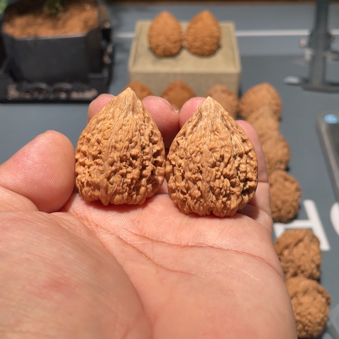 文玩核桃把件葡***汁塔尖32