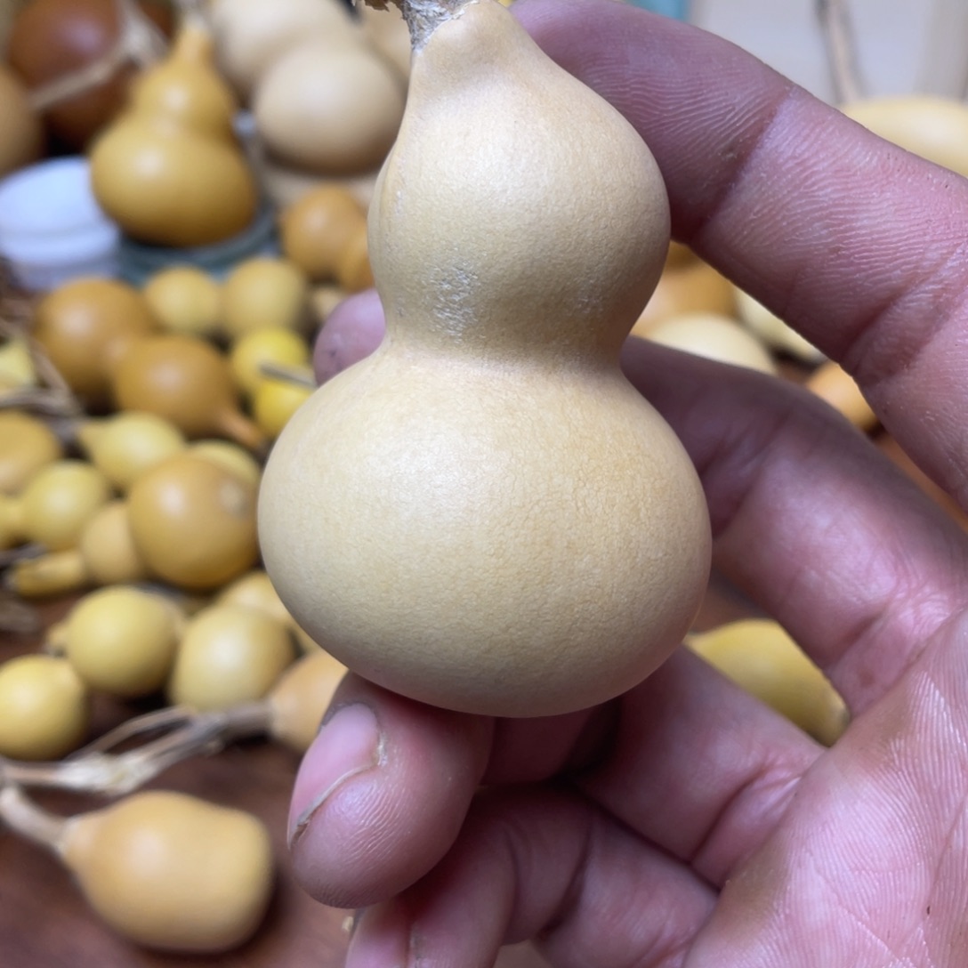 *****葫芦北京小姐姐了