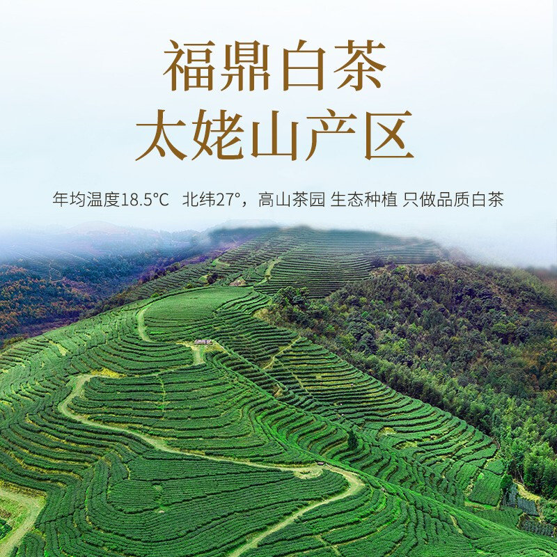 【临时链接】冰花钛杯+六堡