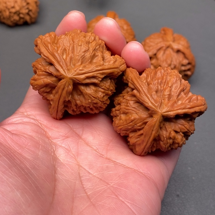 木***犀木质类核桃核桃核桃