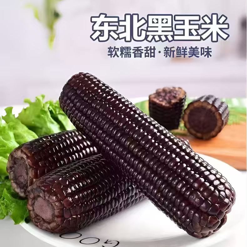 【到手15支 试吃6根】东北正宗黑糯玉米真空包装 到手6斤左右
