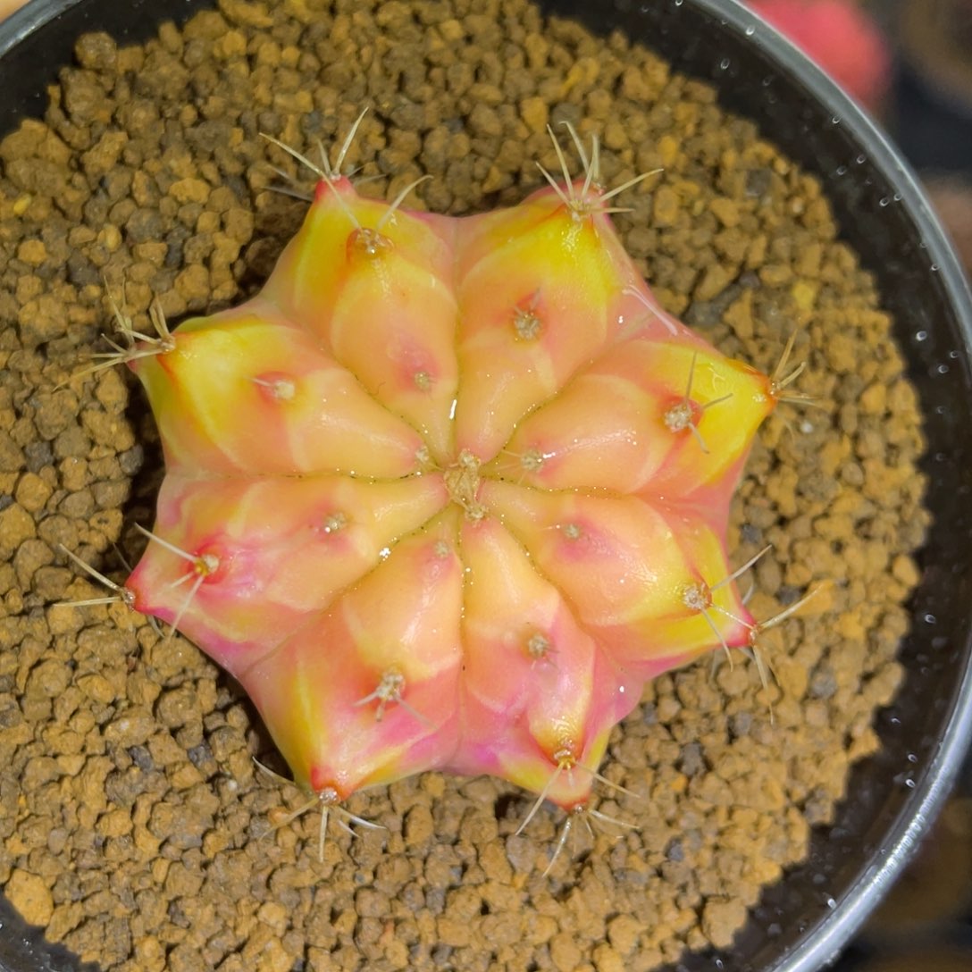 开播福利000000001