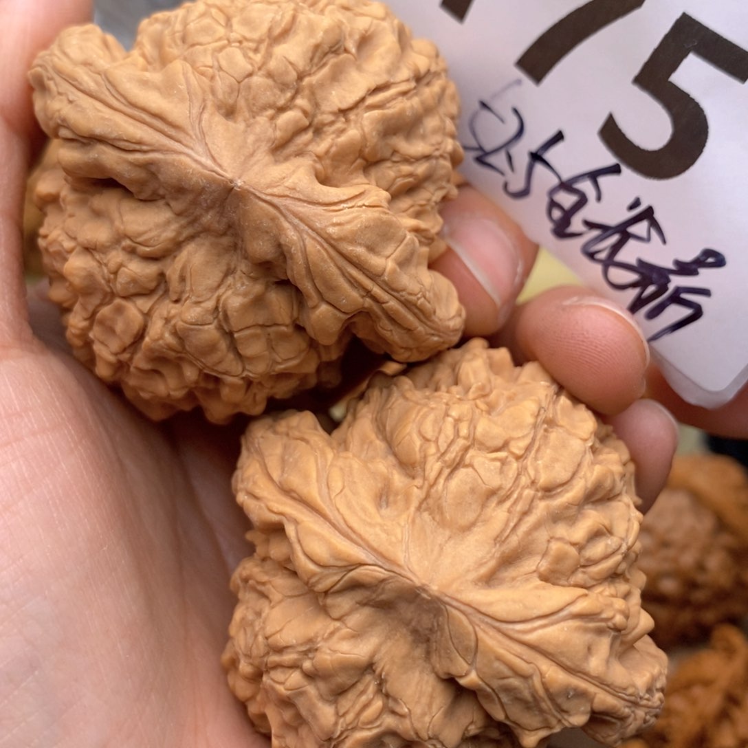 文玩核桃把件175号52.5龙全