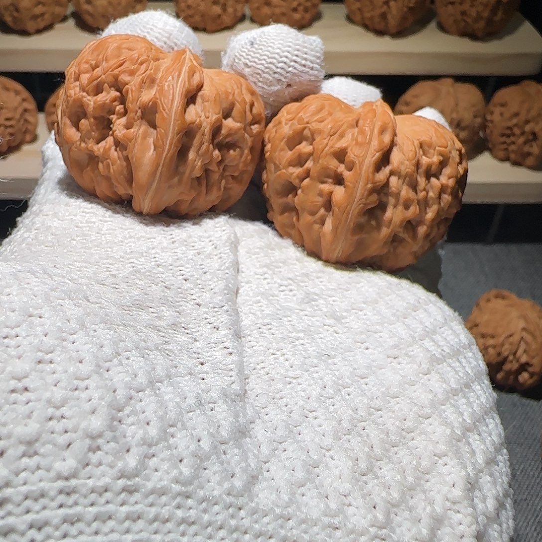 文玩核桃吊坠原生态全品元宝