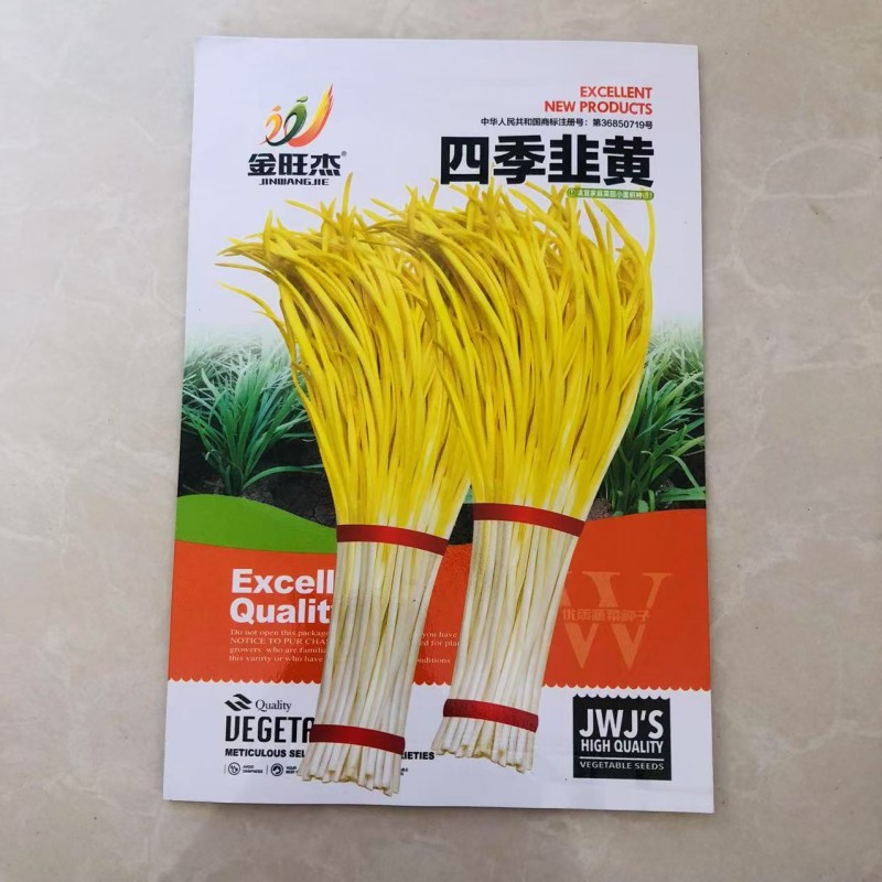 四季韭菜黄种子韭黄根苗盆栽地栽好养好吃繁殖快种一次可吃5年