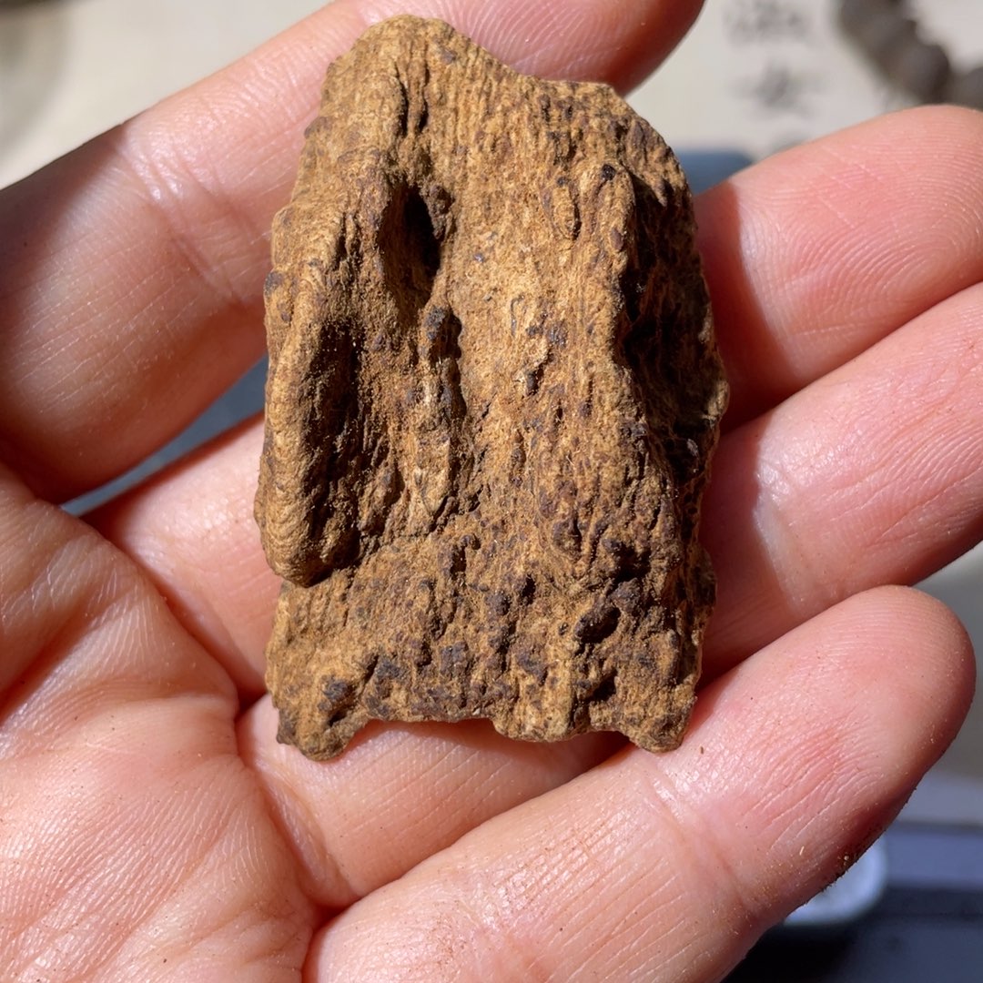 沉香沉香碎屑斯里兰卡千年碳化红土2.29克