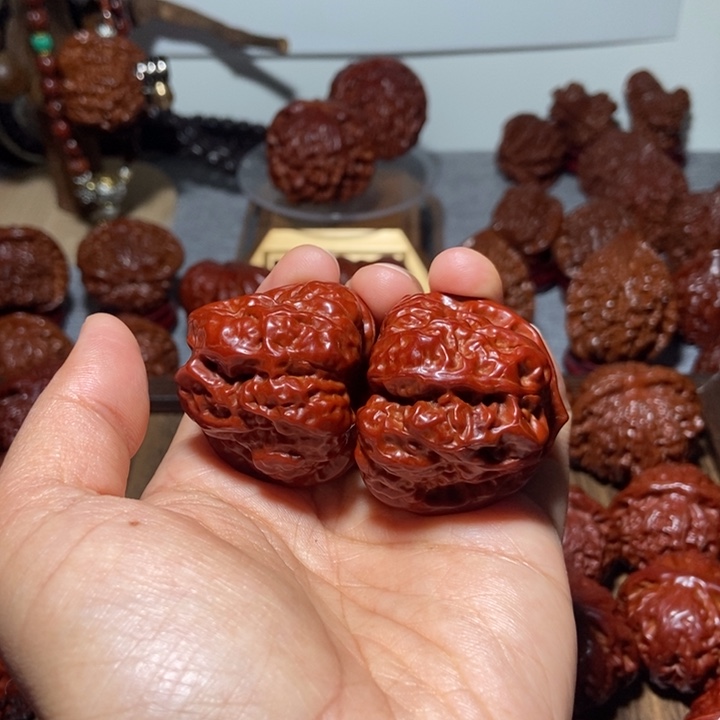 晓***核桃蛤蟆11111111111