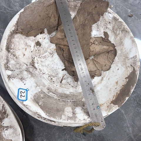 瓷片国营厂31厘米22