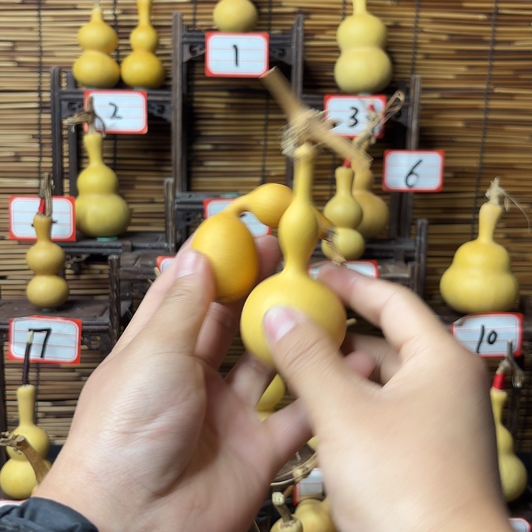 看好下单不退不换