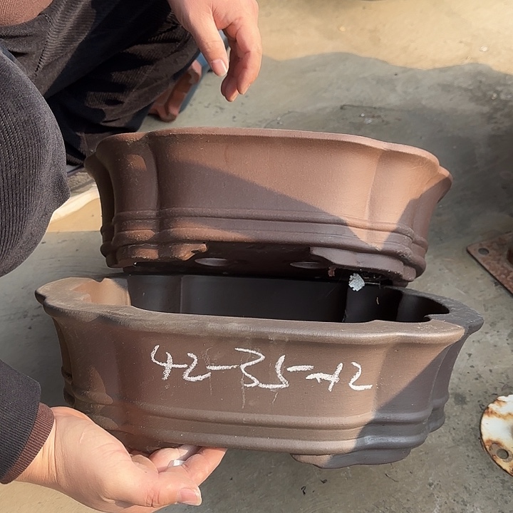 花盆紫砂这是我的新