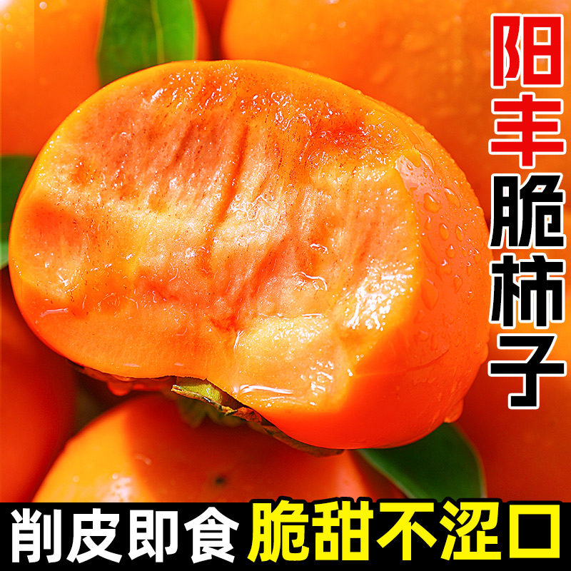 现摘头茬山西脆柿子阳丰脆柿新鲜应季水果巧克力脆柿冰糖心