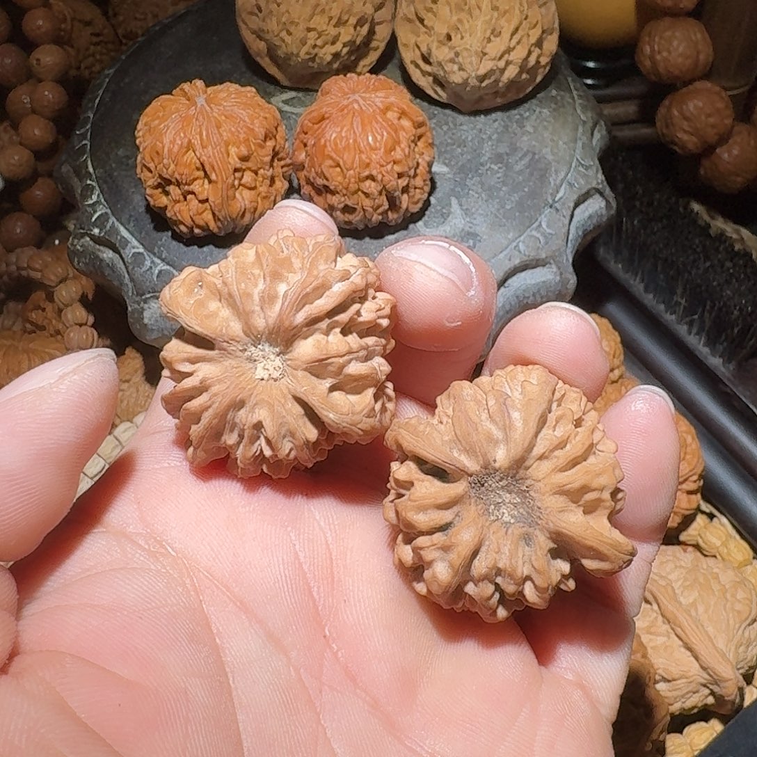 核桃36尺全品凹底龙门涧
