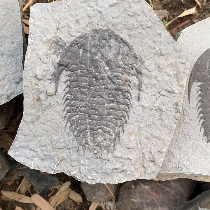 石材贵州石头工艺品摆件