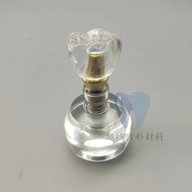 牙科材料水晶种植牙模型大水晶可拆卸口腔教学牙科饰品包邮
