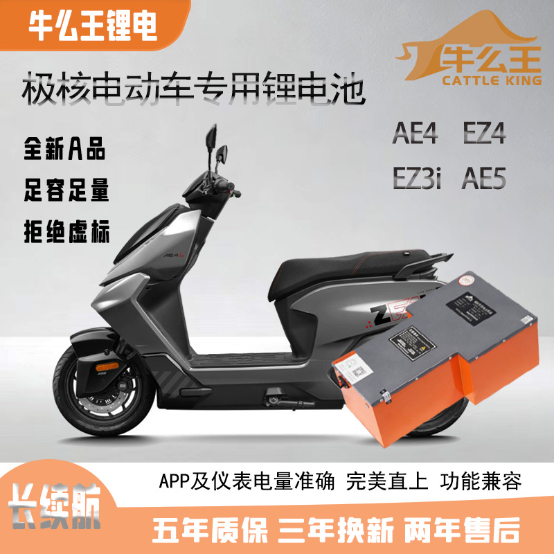 牛么王锂电池无损直上适用于极核AE4EZ4EZ3iAE5电摩60V72Ｖ锂电池