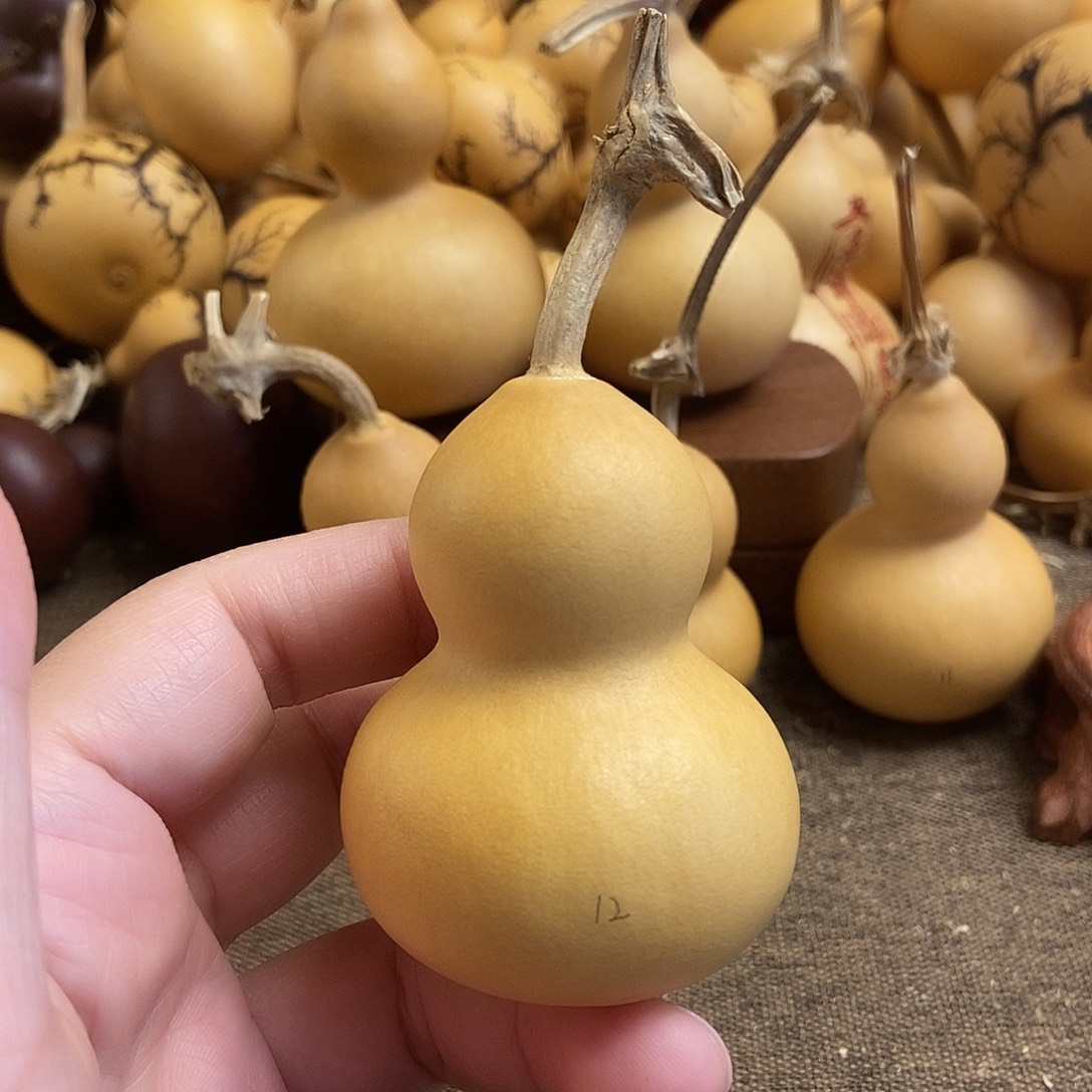文玩葫芦 完美主义者 慎拍12