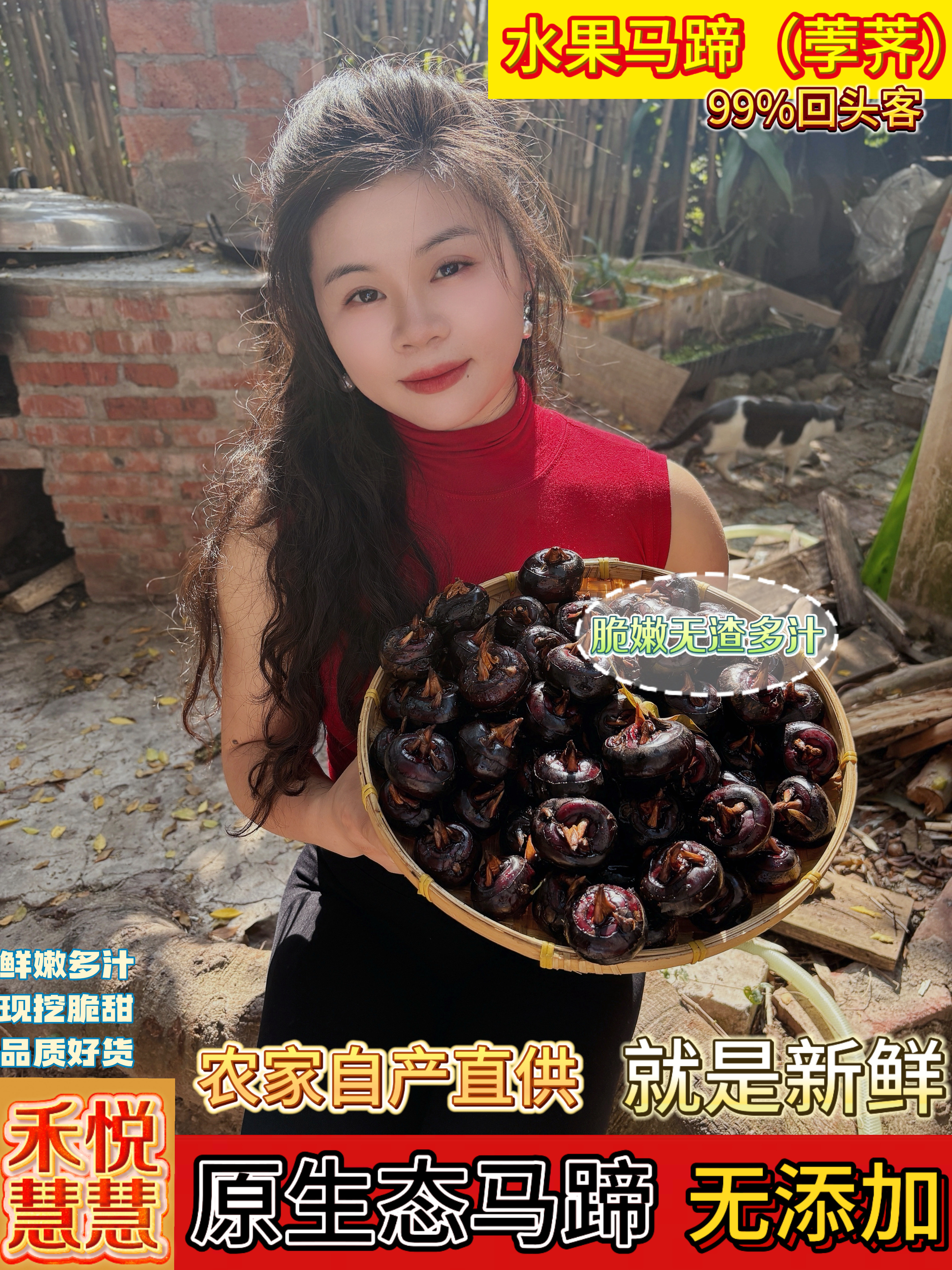 【原生态马蹄】正宗新鲜马蹄产地直发荸荠特大果农家特产马蹄果