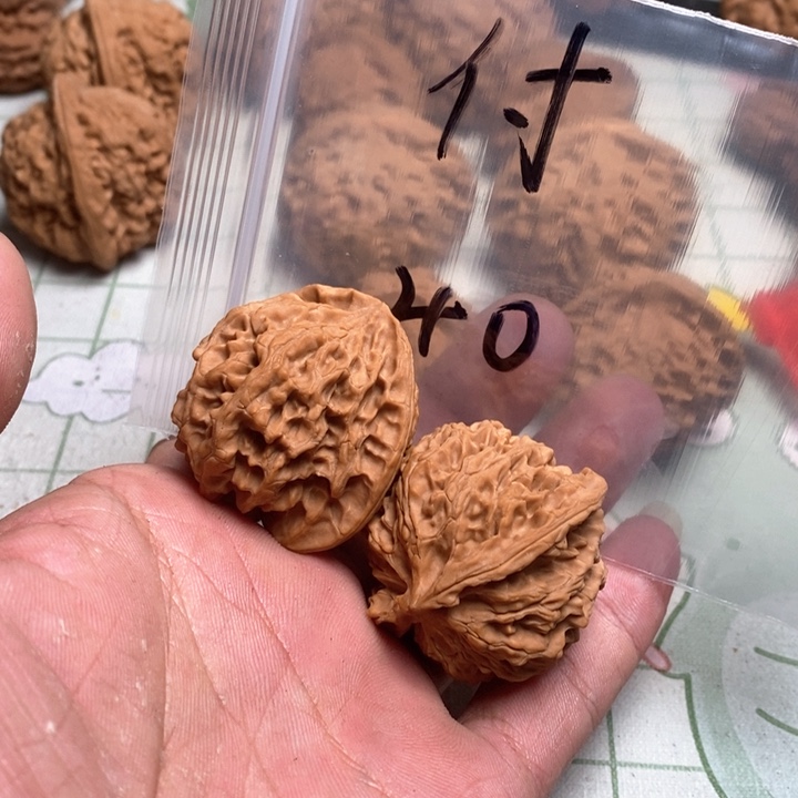 文玩核桃把件付核桃