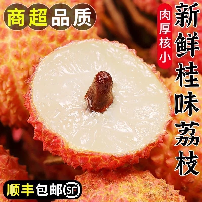 【顺丰次日达】广东桂味荔枝 头茬鲜果现摘新鲜不泡水 3斤/5斤装荔枝同城送
