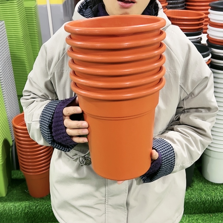 特价翻边盆口21高22砖红色无托6只